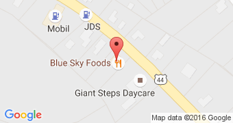 Blue Sky Foods