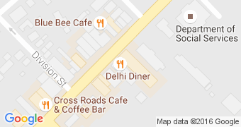 The Delhi Diner
