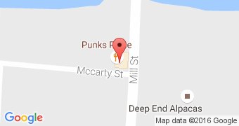 Punk's Place