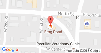 The Frog Pond