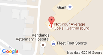 Not Your Average Joe's