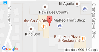 The Go Go Diner