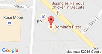 Domino's Pizza