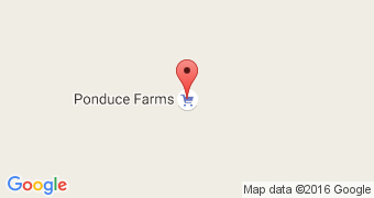 Ponduce Farms