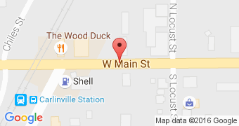 The Wood Duck