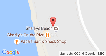 Fins at Sharky's