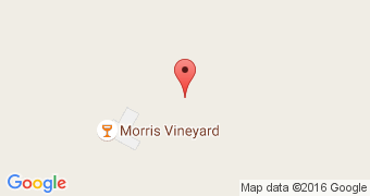 Morris Vineyard and Tennessee Mountainview Winery