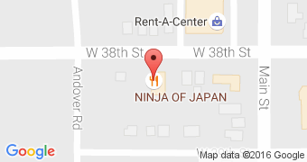Ninja Of Japan