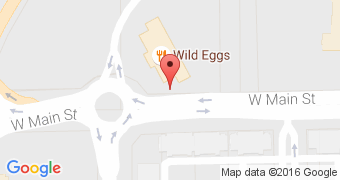 Wild Eggs