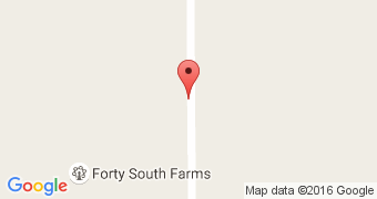 FortySouth Pizza