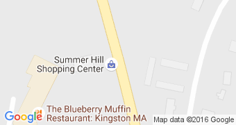 The Blueberry Muffin