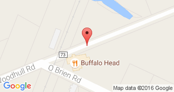 Buffalo Head