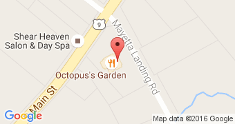 Octopus's Garden