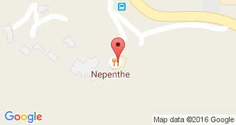 Nepenthe